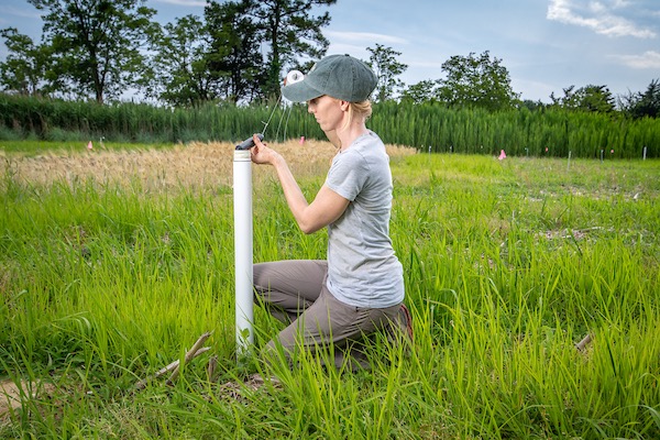 a researcher uses a HOBO water logger to continuously monitor conductivity inside the well system