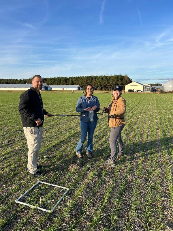 Researchers collecting soil samples to later analyze in the lab to determine their electrical conductivity.