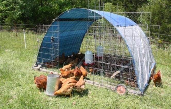 Freedom ranges in rolling pen.