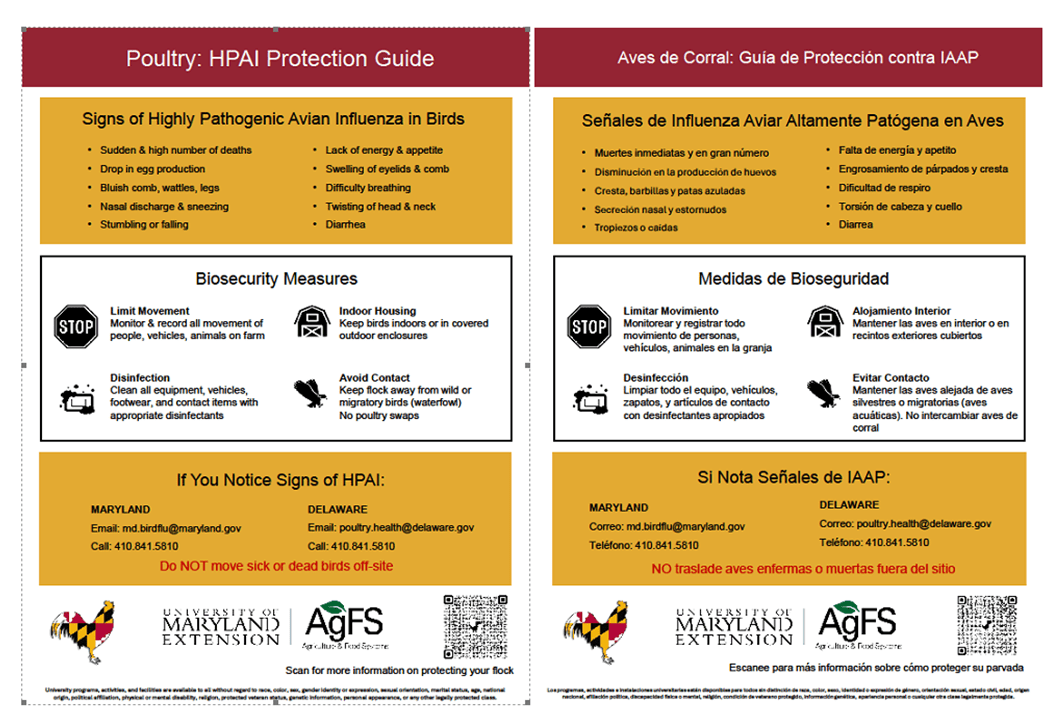 Biosecurity-HPAI for Small Flock