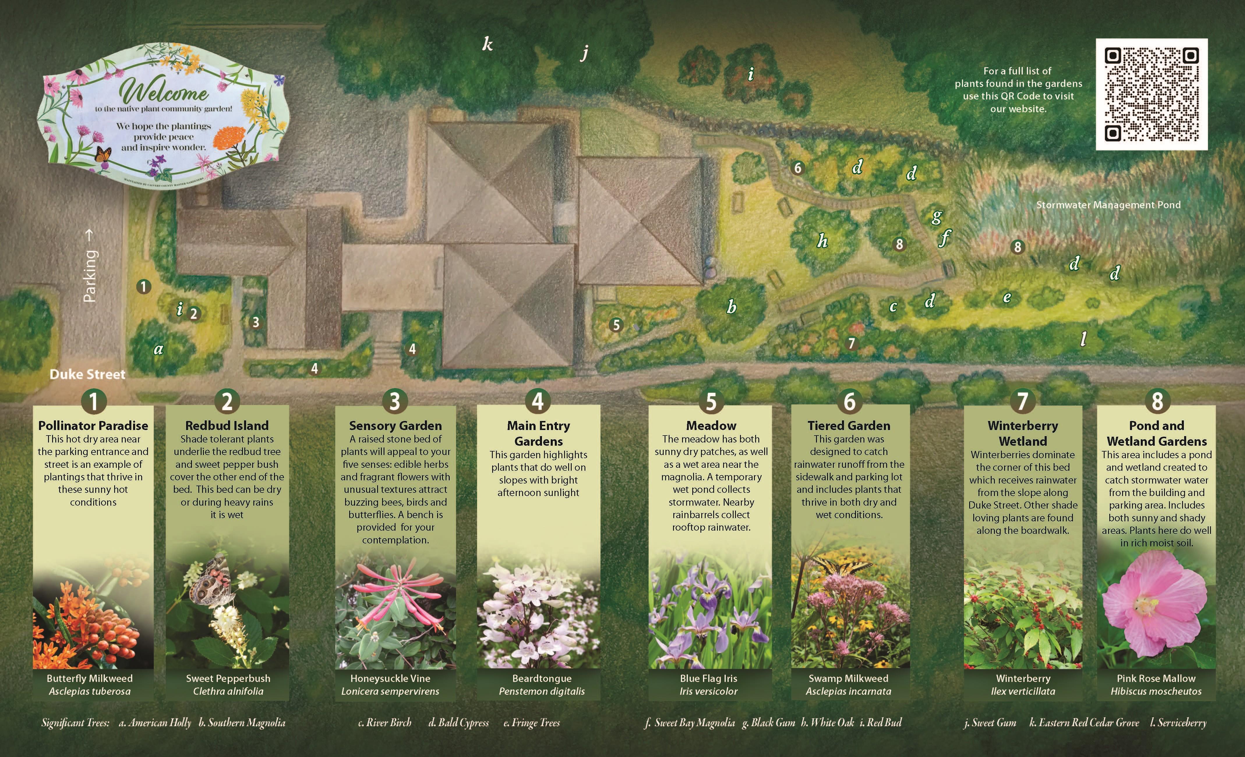 MG Demo Garden Layout