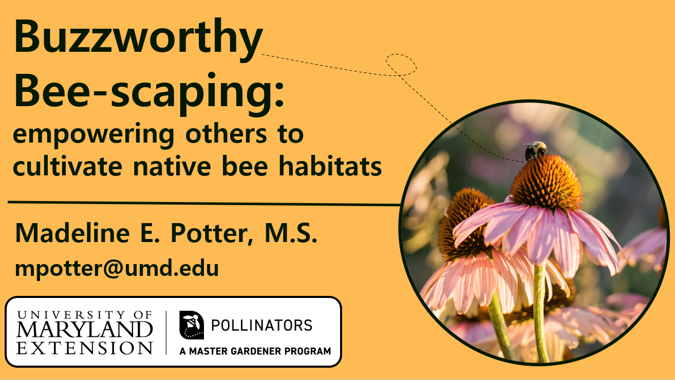 A title screen for the webinar titled Buzzworthy Bee-Scaping: empowering others to cultivate native bee habitats