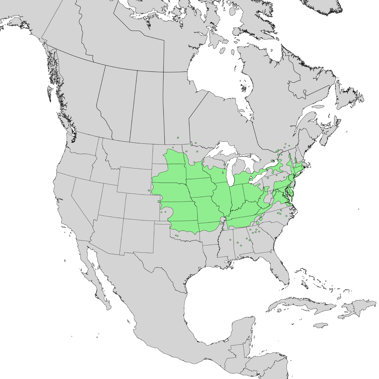 The native growing range of common hackberry trees (Photo Credit: Elbert L. Little, USFS, Wikipedia.org) 