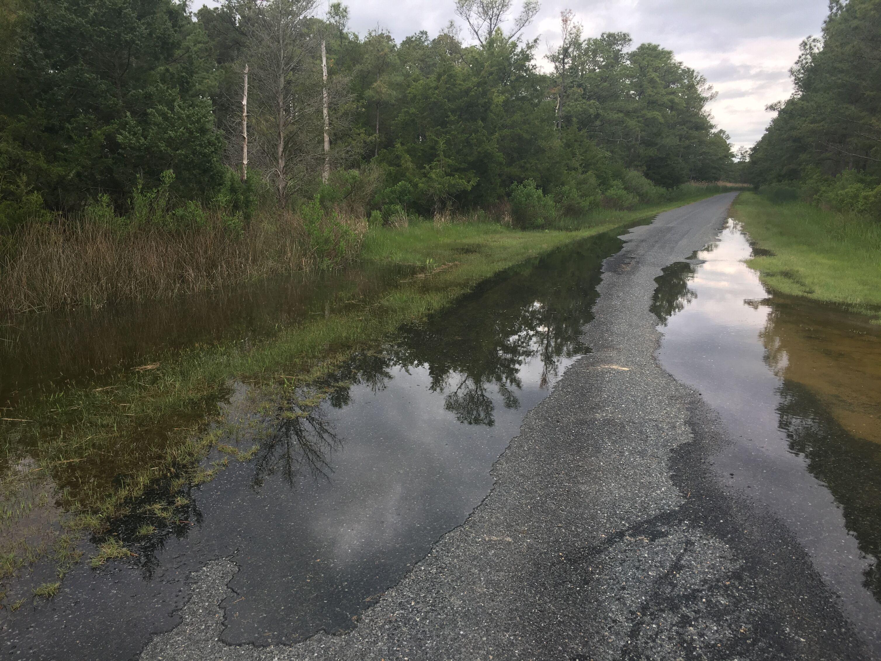Road flooded with water