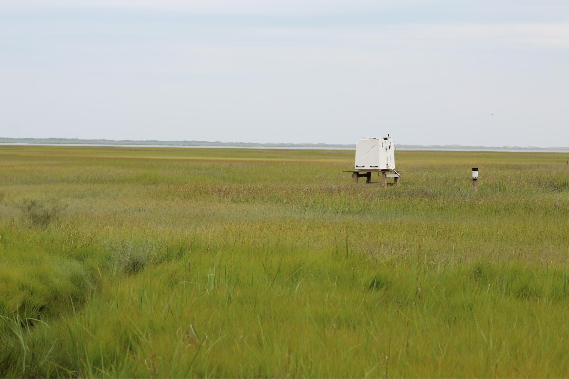 Landscape view of a Marsh