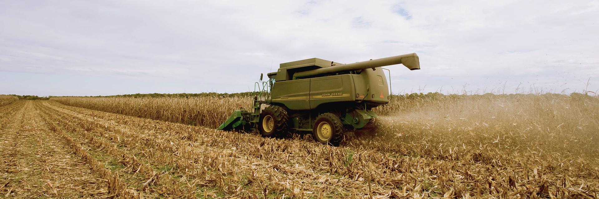 Vehicle harvesting grain crops on a cloudy day