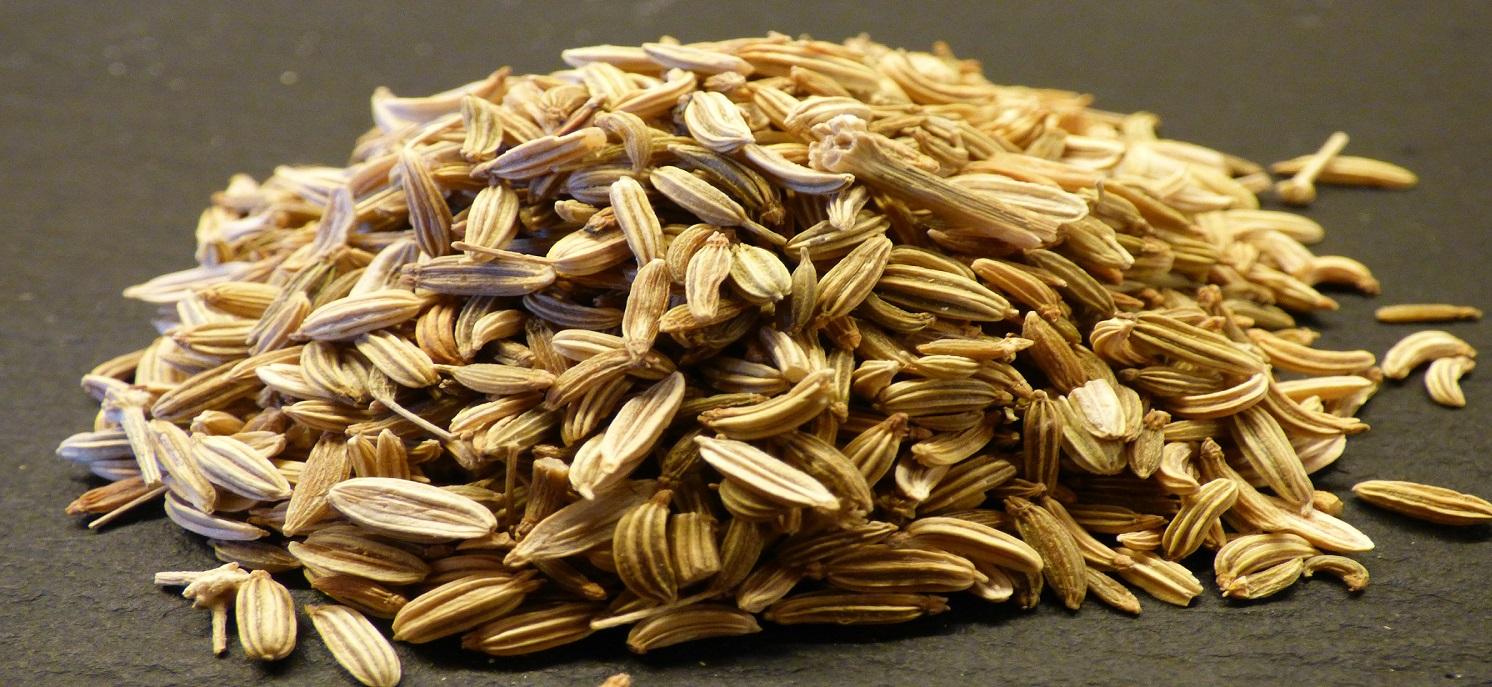 fennel seeds