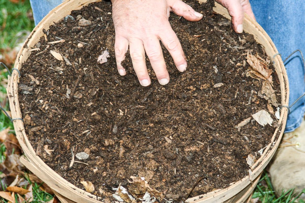 garden soil in basket