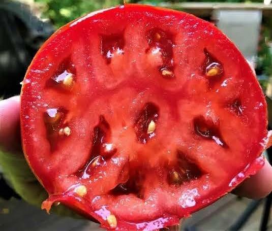 No internal whitening of tomato