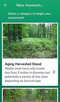 "HealthyWoods" app screen shot