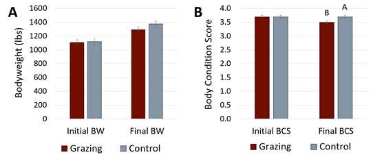 Fig 3 Initial and final bodyweight and condition scores