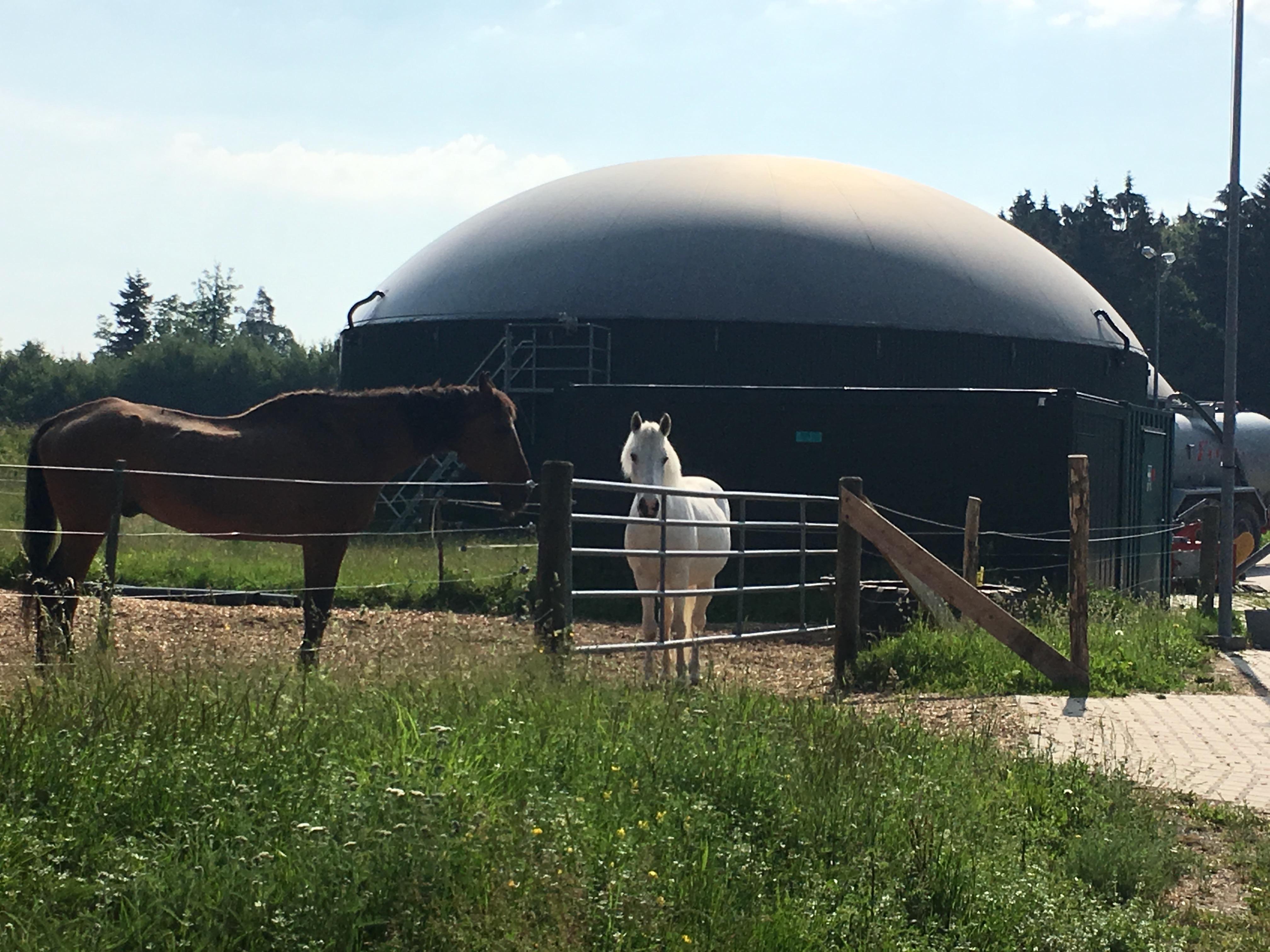 An Upright Digester