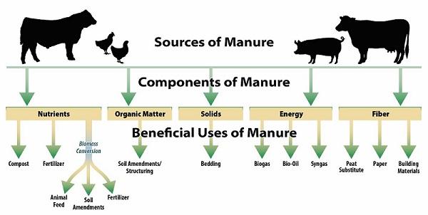 Components of Manure EPA.gov picture