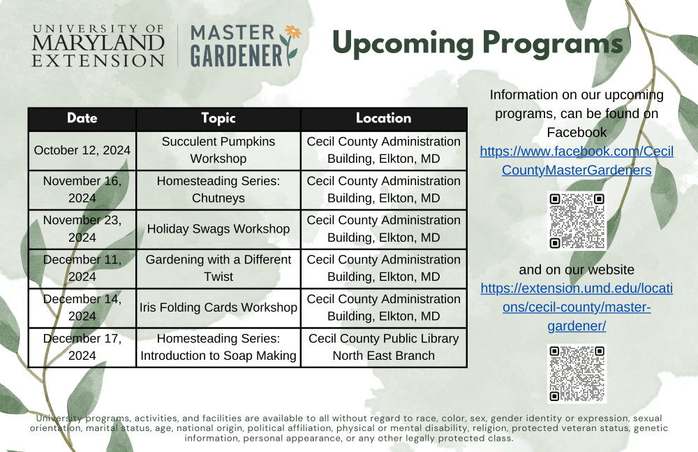 Cecil MG Upcoming Programs flyer