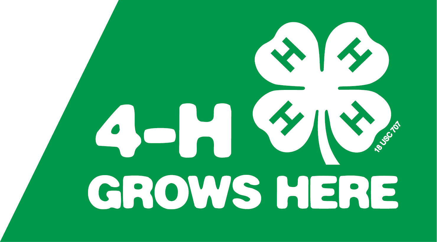 4-H