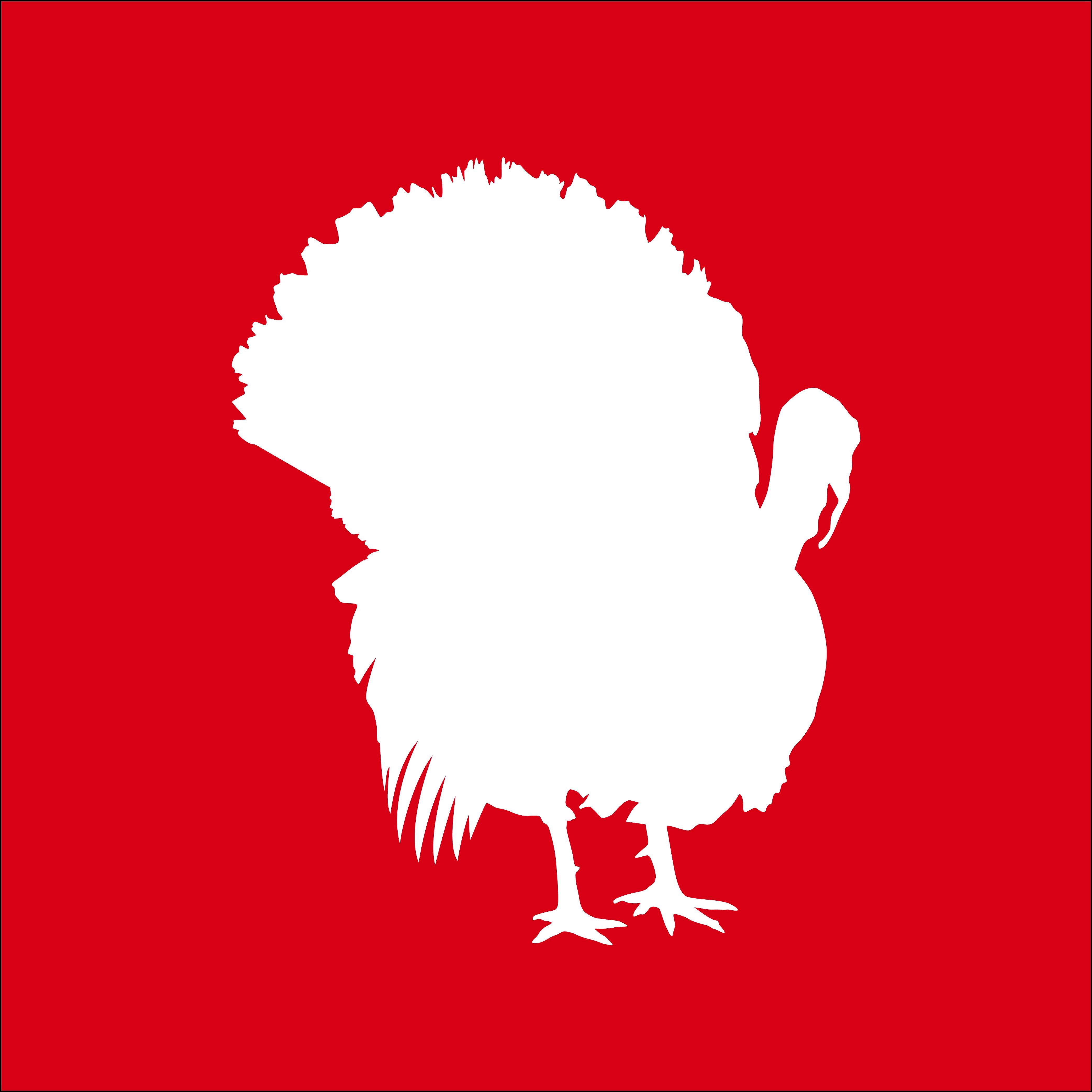 Turkey Icon