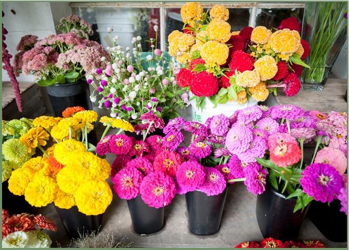 Cut flowers in containers