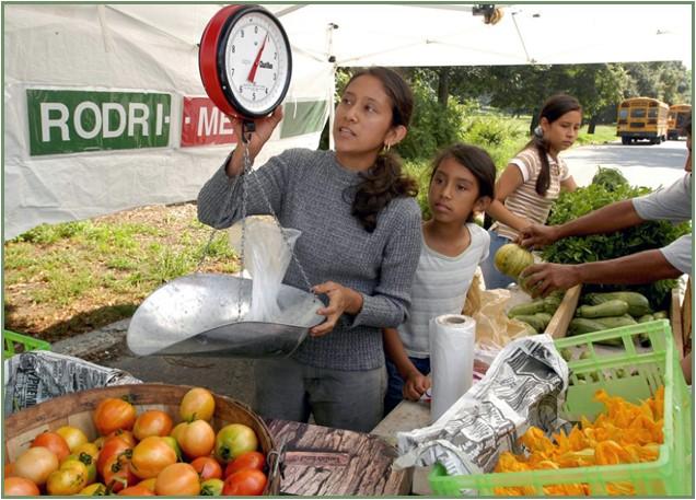 Figure 4: Roadside stands can be convenient for both producers and customers. But be sure to check local zoning and permitting rules. Photo by Edwin Remsberg, © University of Maryland—AGNR Image Library 