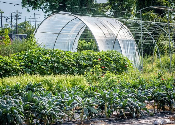 Cultivate Baltimore: Hand-scale farm tools at Strength to Love 2 in Baltimore, City, August 15, 2019