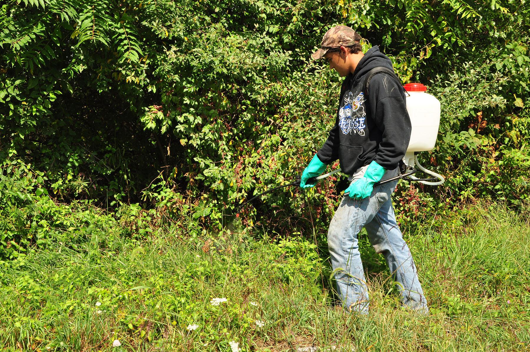 Applying herbicide