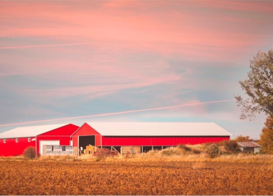 Farm with two barns 