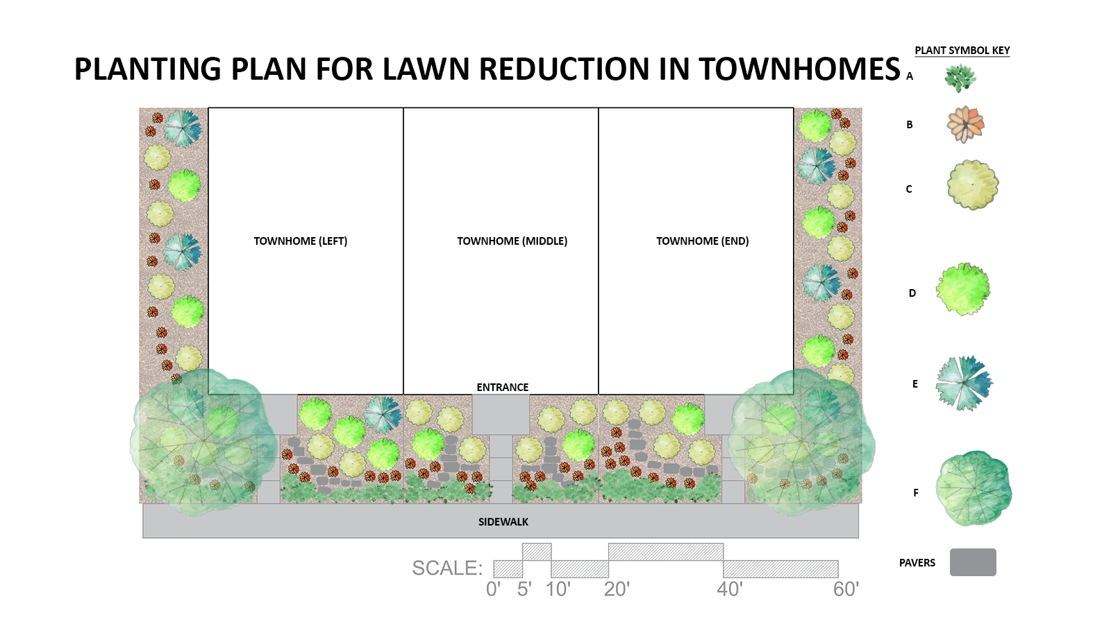 Townhouse landscape design