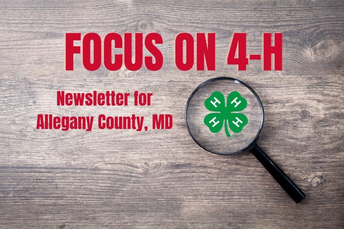 Focus on 4-H graphic