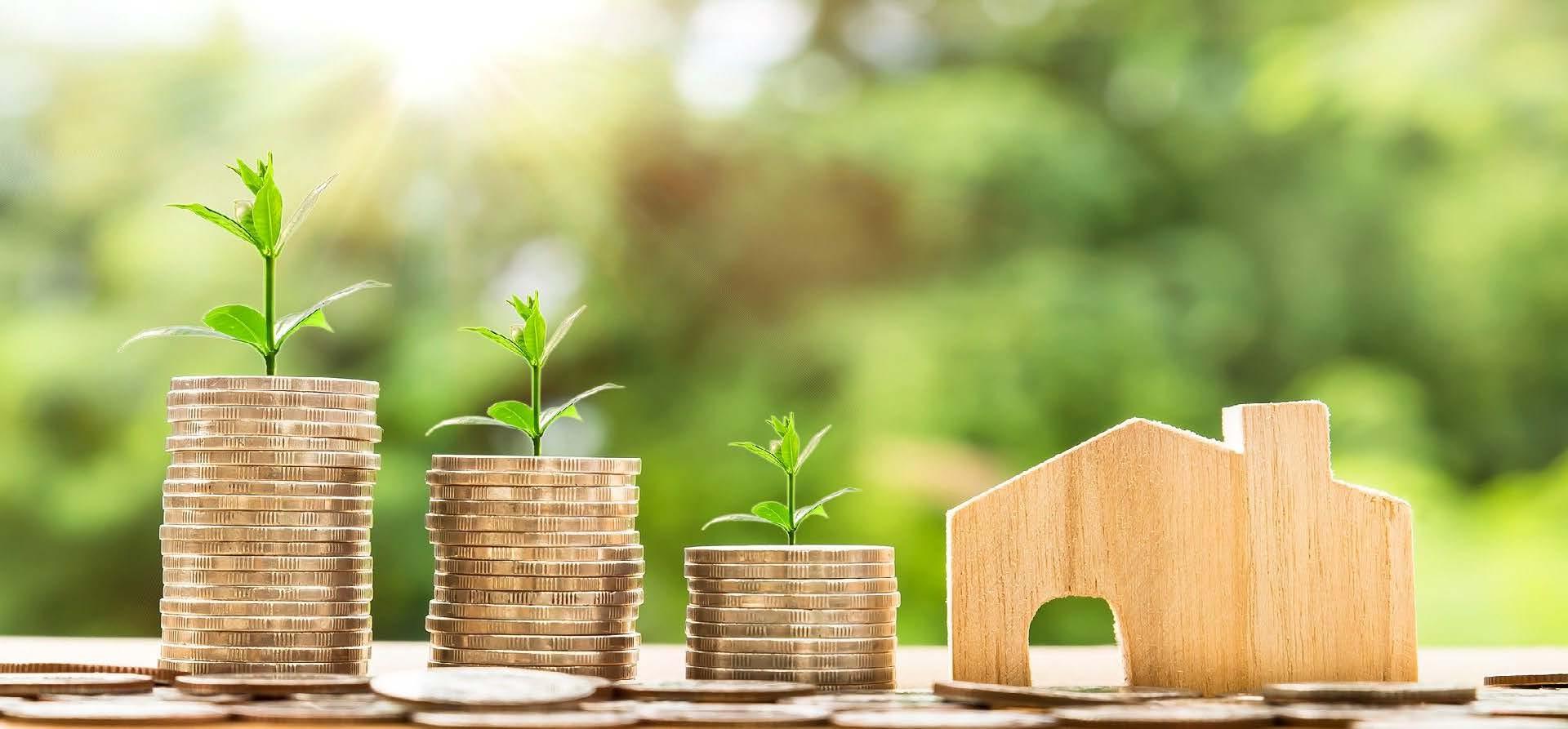 Stack of coins with a few plants growing out of it, against the backdrop of a house's silhouette. 