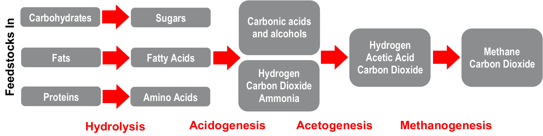 Schematic of microbial processes in anaerobic digestion and the stepwise progression of these processes.