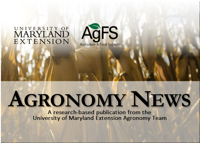 Agronomy News - November 2024 cover