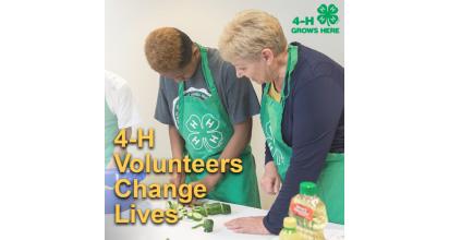 4-H volunteer appreciation