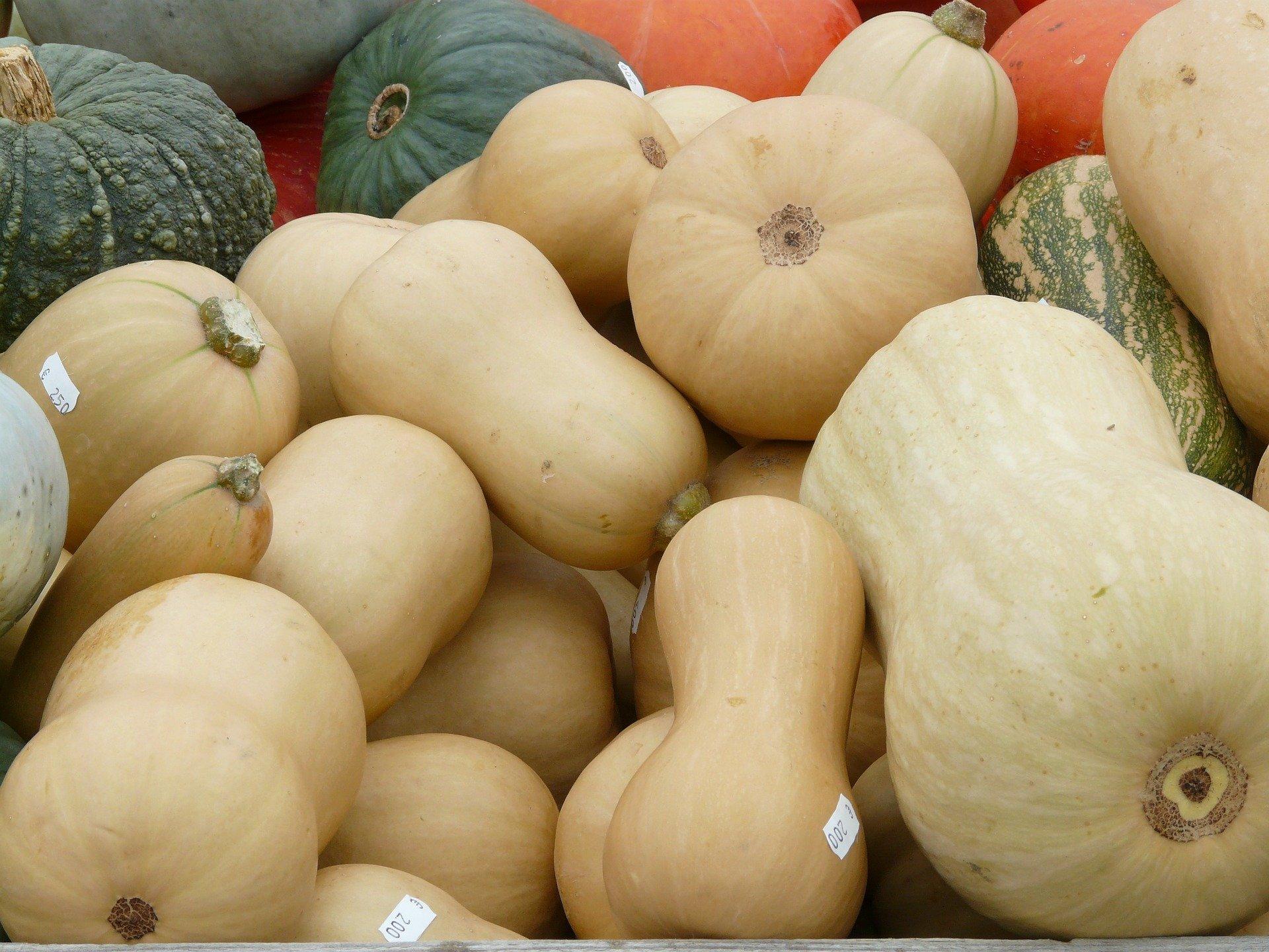 winter squash assortment