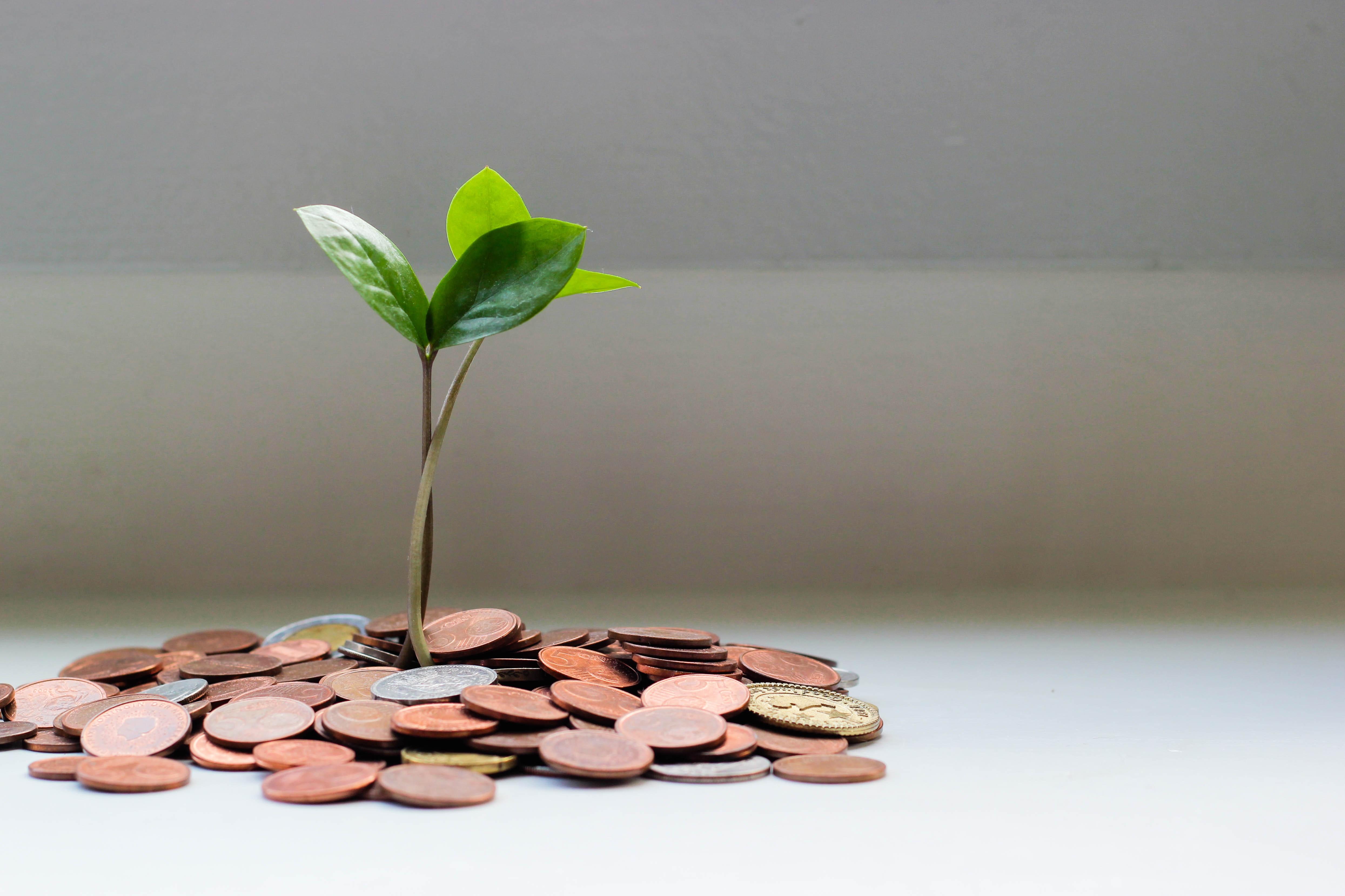 Mound of change with a sprig of fake plant growing out of it.