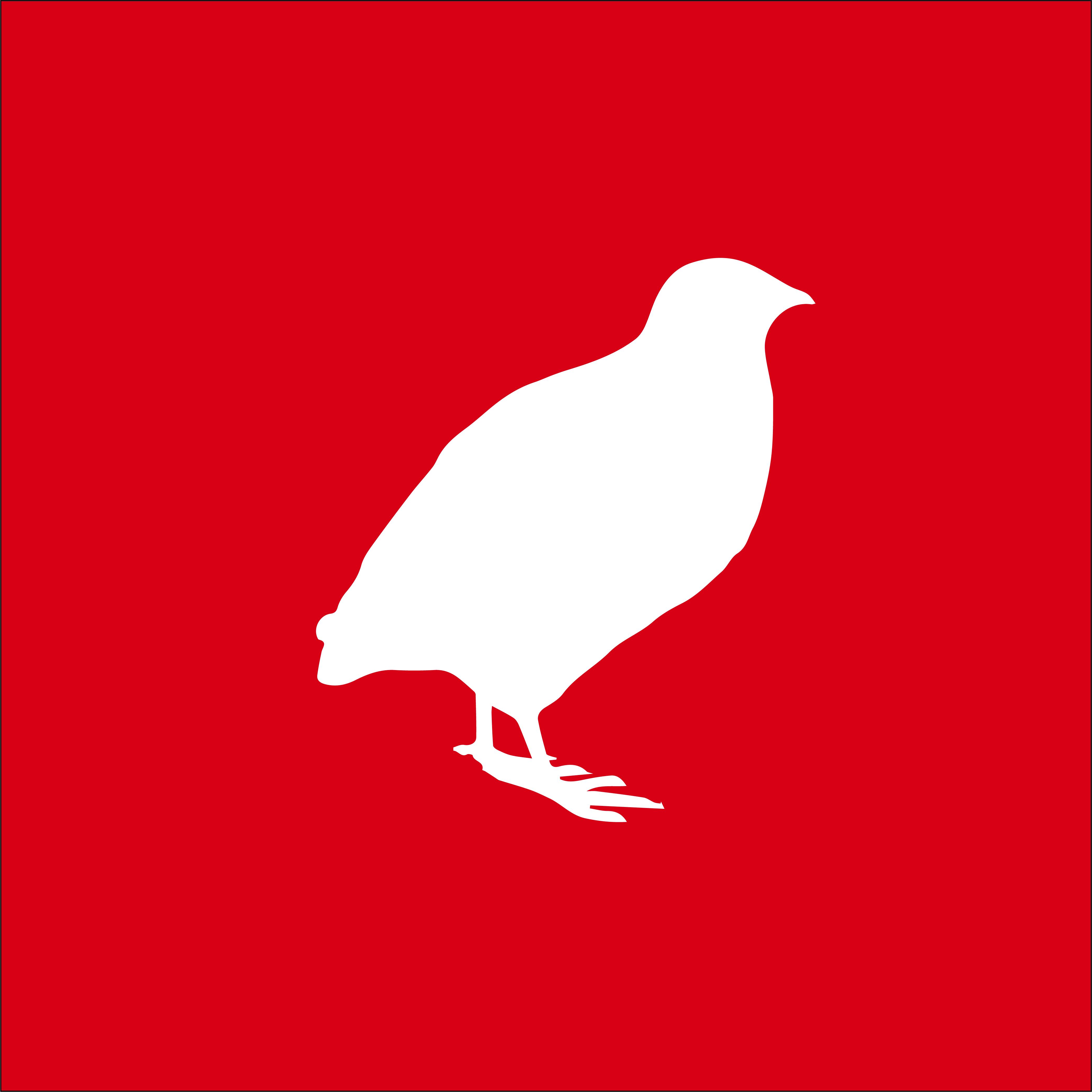 Quail Icon