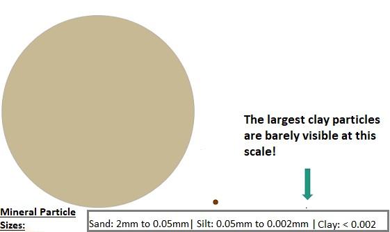 particle size graphic