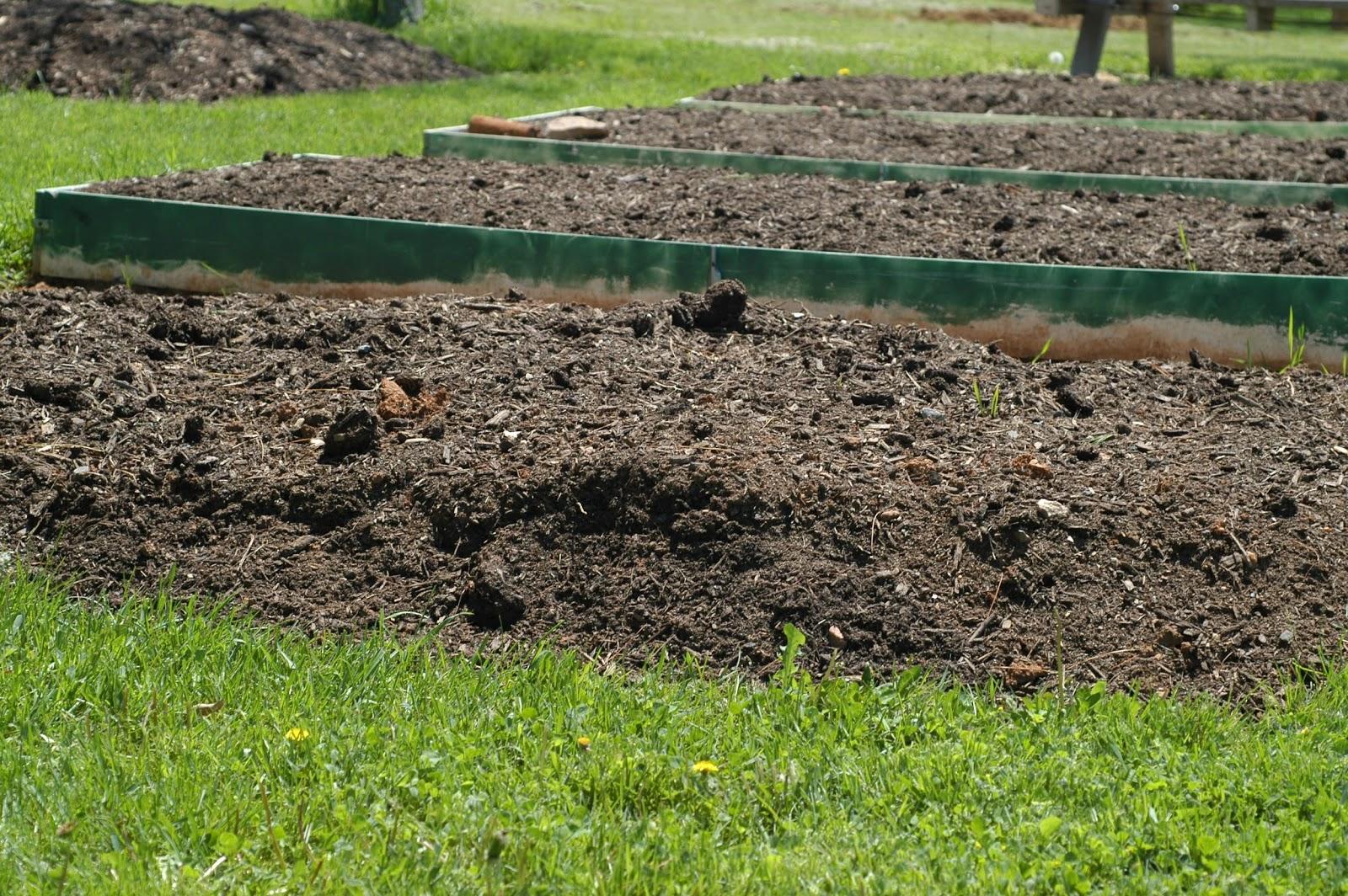 raised beds