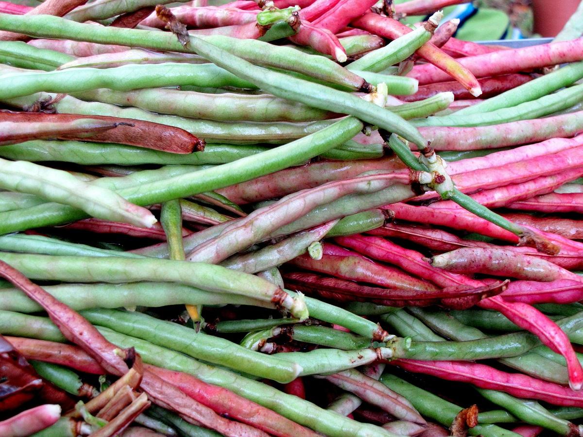 Southern pea pods