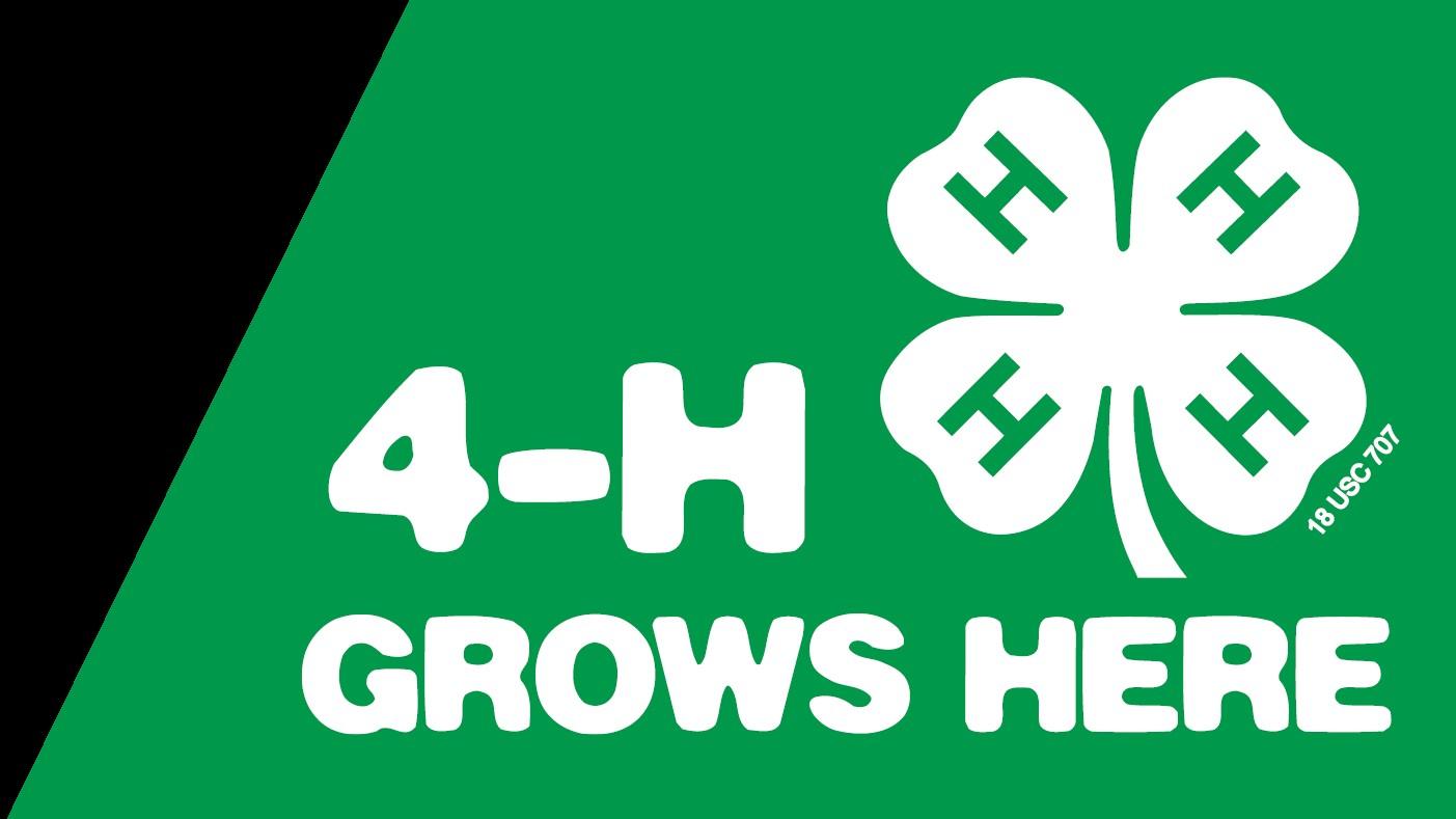 4-H Grows Here