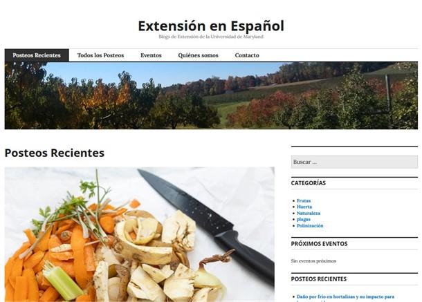 Extensión en Español Image