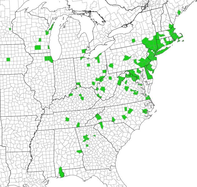 Porcelain-berry reported range. Map courtesy eddmaps.org