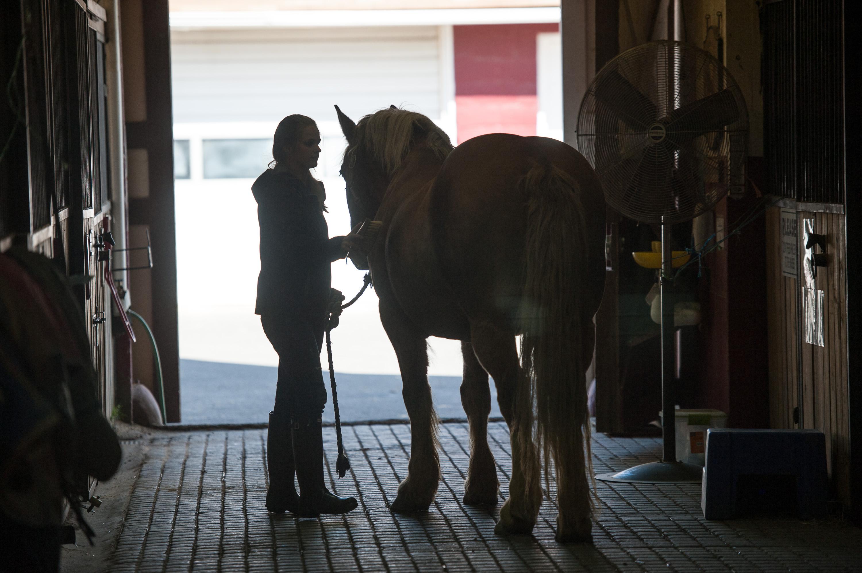 horse and human in barn