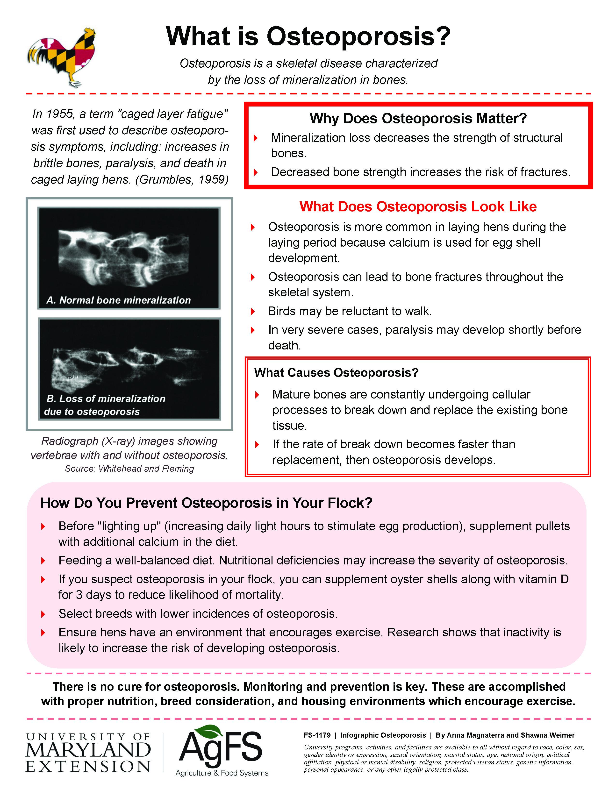 Infographic: What is Osteoporosis?