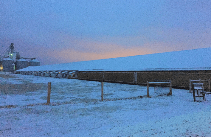 Poultry Broiler House Winter Ventilation 