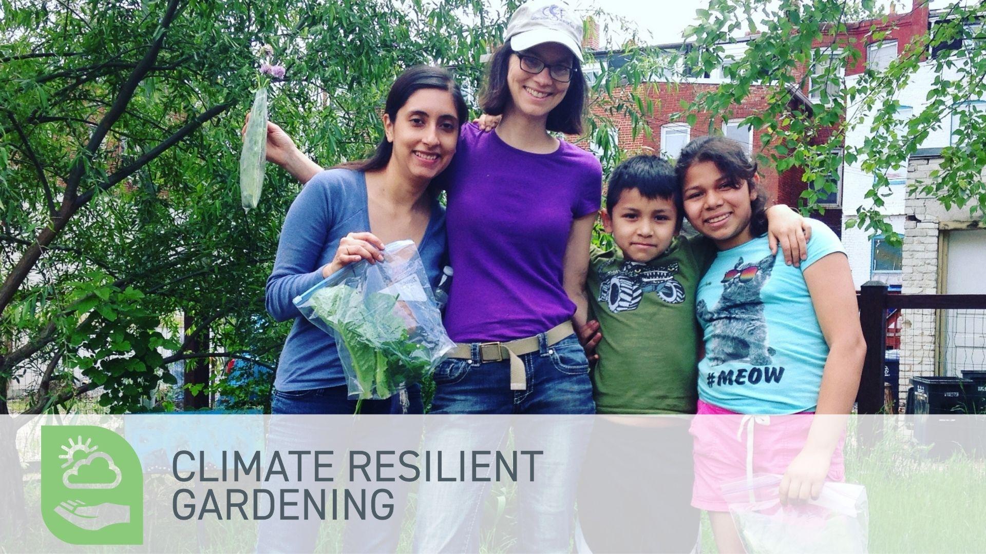 gardeners at a community garden harvesting produce