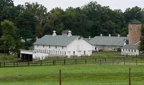 Farm pasture in the foreground and white farm buildings in the background