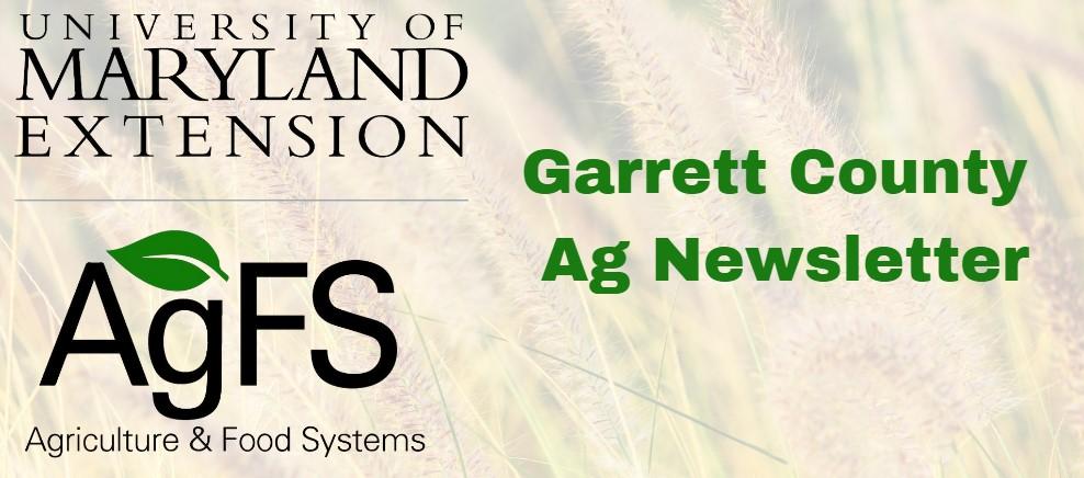 GC AG Newsletter