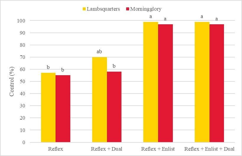 Control of common lambsquarters and morningglory species 7 weeks after soybean planting. Bars of the same color with the same letter are not significantly different according to Tukey’s HSD (α = 0.05).