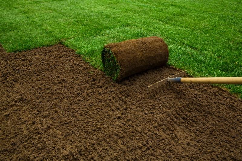 Piece of turfgrass sod being unrolled onto bare soil that has been raked level.