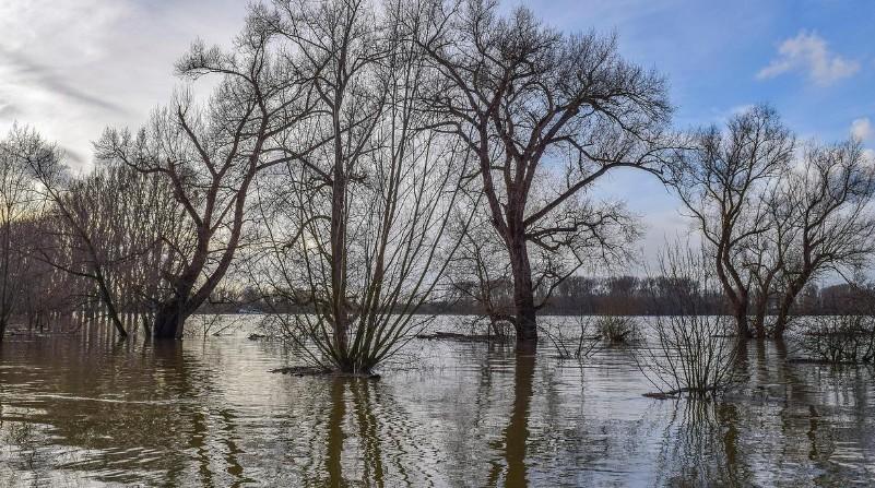 Resources for flood preparedness and mitigation